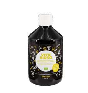 VitaBiosa Ginger 500ml organic fermented tonic bottle